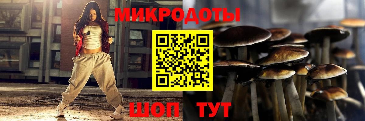 Псилоцибиновые грибы Cubensis  Вход с VPN  Тавда 